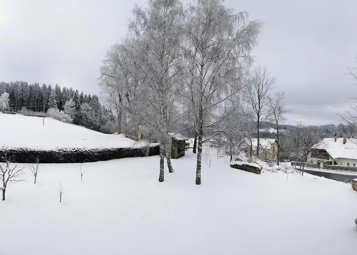 Πανσιόν Neubauer