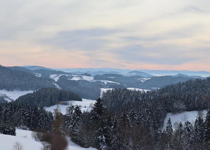 Πανσιόν Neubauer 3*